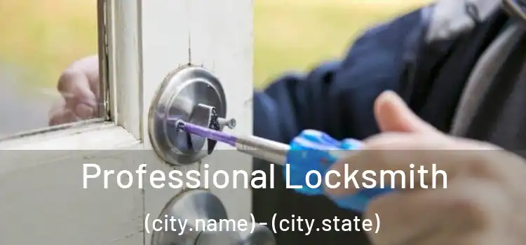  Professional Locksmith (city.name) - (city.state)